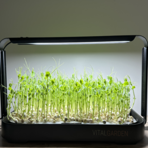 Vital Garden Microgreens Kit