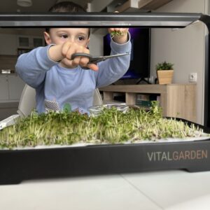 Дете реже свежи микрозеленчуци от комплекта Vital Garden