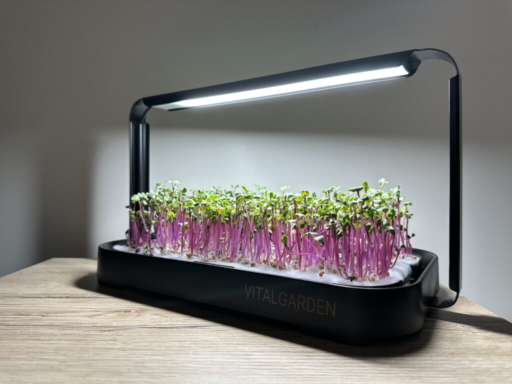 Комплект Vital Garden с репички микрозеленчуци под LED осветление