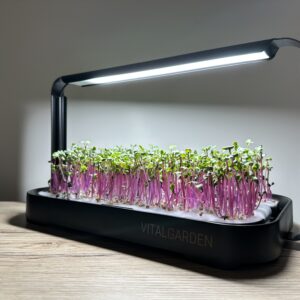 Репички микрозеленчуци с розови стъбла в комплекта