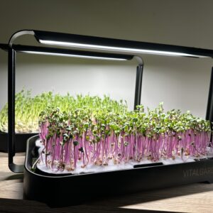 Два комплекта Vital Garden с различни микрозеленчуци под LED